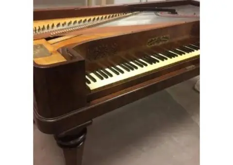 Expert Piano Tuning & Ground-Floor Piano Removals in Sussex – Honest & Hassle-Free