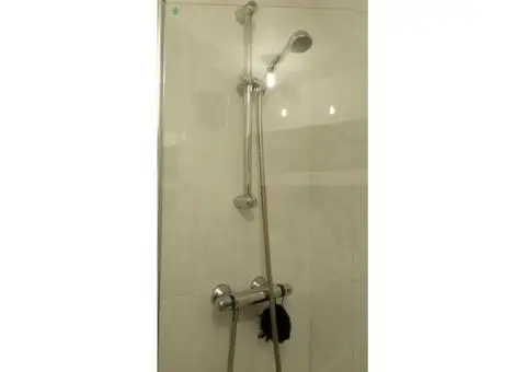 White bath shower taps and screen - 9/9