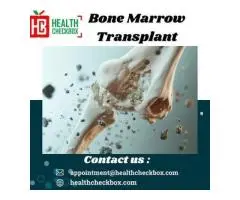 What Is a Bone Marrow Transplant and How Does It Work?
