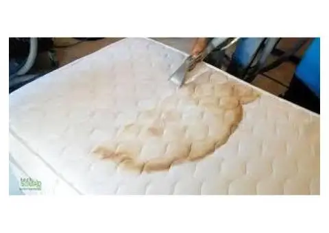 Advantages of Professional Mattress Cleaning