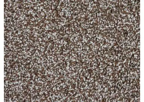 Cheap Carpet Online: Trendy Floor Coverings at Bargain Prices