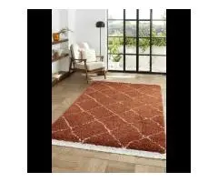 Orange/Terracotta Rugs
