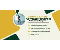 Restore & Protect: Commercial Carpet Maintenance Programs