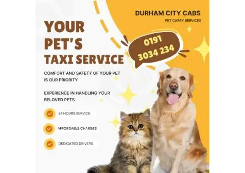 Taxi Services in Durham - 4/6