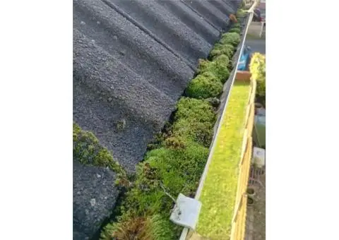 Gutter Cleaning | Gutter Cleaning Company