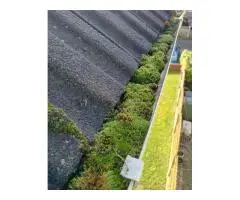 Gutter Cleaning | Gutter Cleaning Company