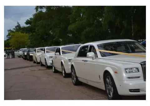 Rolls Royce Silver Cloud Hire in Essex - 2/2