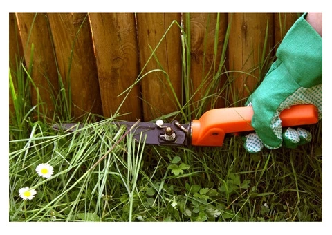 Fast Landscape Gardening - 3/10
