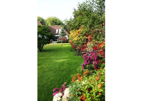 Fast Landscape Gardening - 7/10