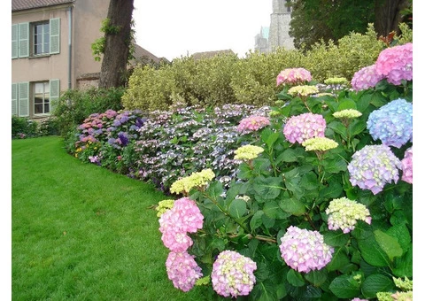 Fast Landscape Gardening - 10/10