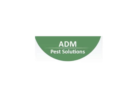 Professional Help for Foolproof Bird Control in Devon