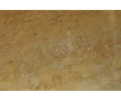 Calacatta Gold Marble