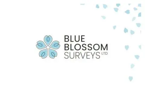 Blue Blossom Surveys Ltd