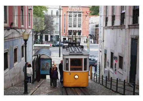 Online portuguese lessons