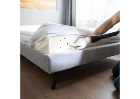 Sleep Tight Tonight: Guaranteed Bed Bug Removal in Leicester