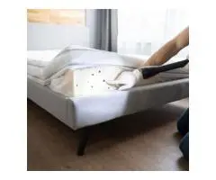 Sleep Tight Tonight: Guaranteed Bed Bug Removal in Leicester