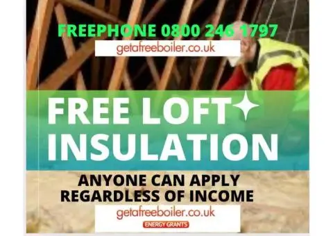BOILER - GAS , ELECTRIC, OIL - FREE HEATING UPGRADES - 2/2