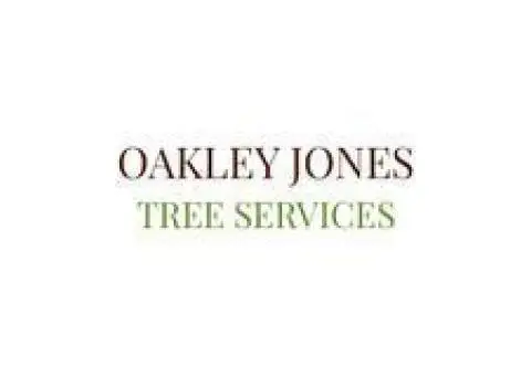 Tree Surgeon Services in Canterbury – Stump Grinding & Tree Removal