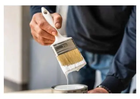 Expert Painters and Decorators in London – AlanCo Services