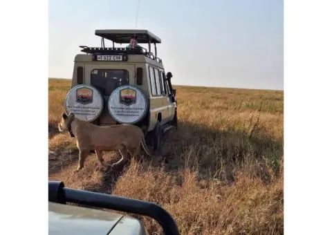 Joining a group Tanzania safari - 1/8