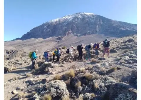 Joining a group Kilimanjaro climbing trip Machame route 7 days - 2/5