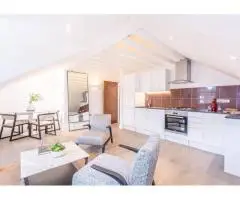Expert House Rennovation in Chiswick – P+P Architects