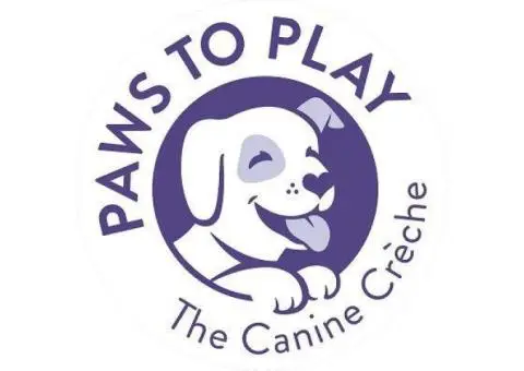 Paws to Play