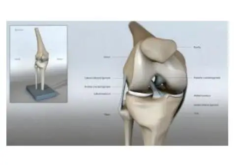 Dr. Khitish Mohanty Fracture Surgery in UK