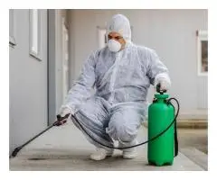 Trusted Bed Bug Removal Services in Leicester & the Midlands