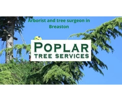 Tree Surgery in  Breaston