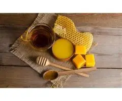 Organic Beeswax Supplier & Manufacturer