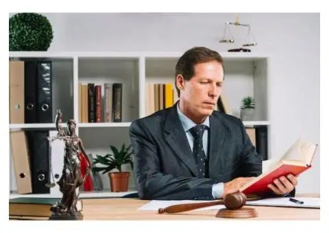 Expert Litigation Lawyer Near You - Trust Abbey Law for Legal Excellence