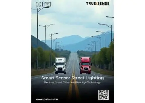 CCMS & Smart Sensor Street Lighting Solution