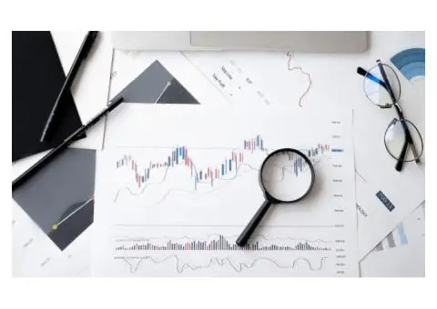The Role of a Payroll Accountant in Small Businesses