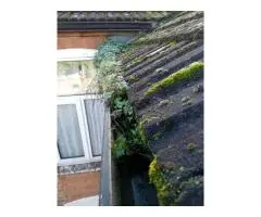 Local Gutter Cleaning Service – Reliable & Affordable Service Near You