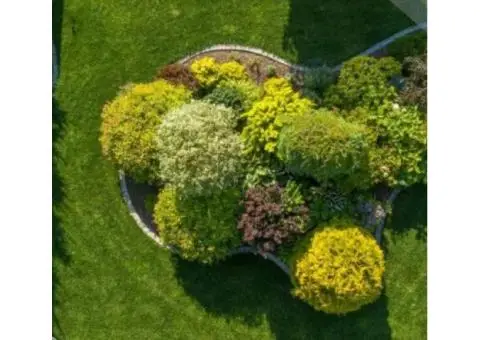 Beautiful Gardens Start Here – Trusted Landscape Gardeners Worthing - 2/2