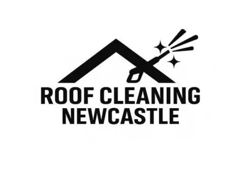Roof Cleaning Newcastle - 1/8