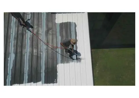 Roof Cleaning Newcastle - 6/8