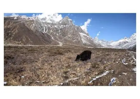 Everest Base Camp Trek 14 days - 30/30