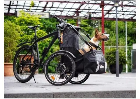 Best Dog Bike Trailer for Large Dogs UK - 1/4