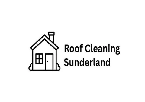 Roof Cleaning Sunderland - 1/11