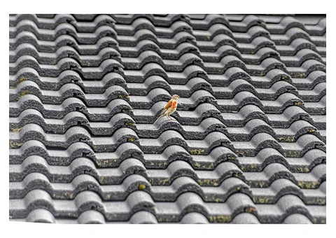 Roof Cleaning Sunderland - 4/11