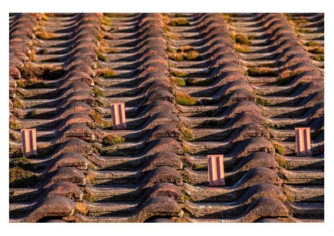 Roof Cleaning Sunderland - 7/11