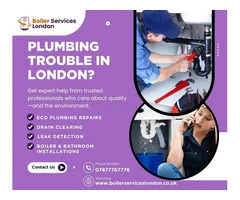 Upgrading Your Kitchen? Don’t Forget the Plumbing Work!