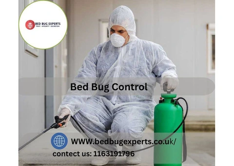 Effective Bed Bugs Control by Trusted Experts in Leicester