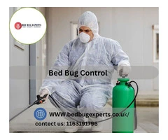 Effective Bed Bugs Control by Trusted Experts in Leicester