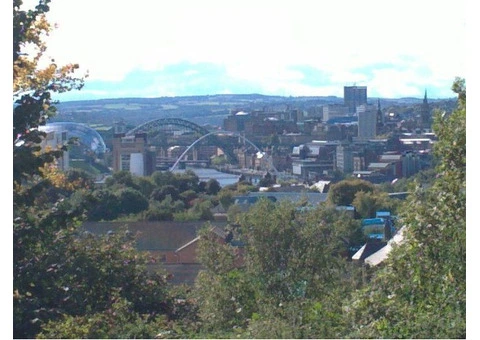 Reliable Property Maintenance in Newcastle