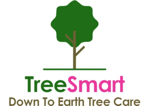 Comprehensive Tree Care Rotherham: Your Local Arborist