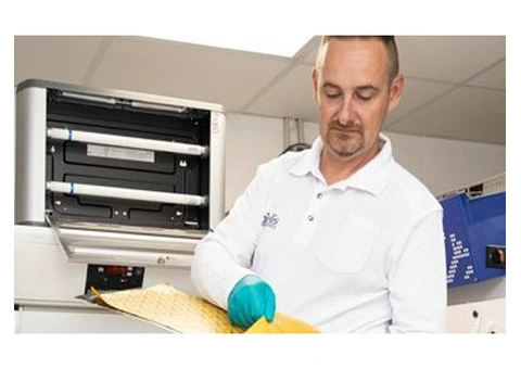 Wasp Nest Removal Ireland - Elis Pest Control