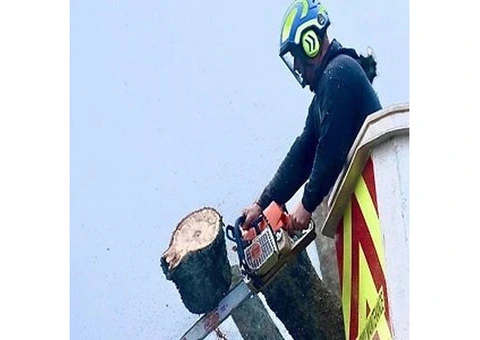 Hywel Jones Tree Services - 1/5